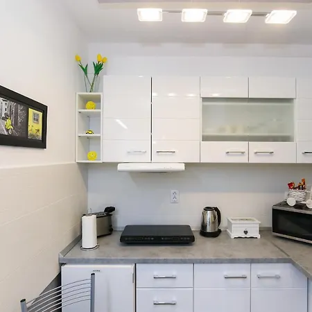 Welcome Center スボティツァ