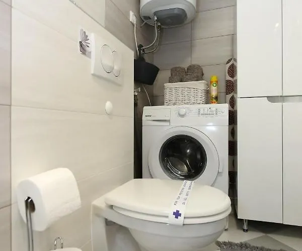 Welcome Center * סובוטיקה